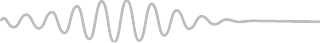 Website Squiggle Asset
